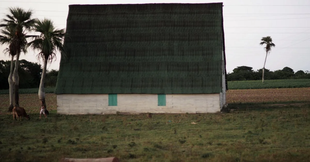 Una casa de campo rústica en un entorno campestre con vegetación exuberante y palmeras.
