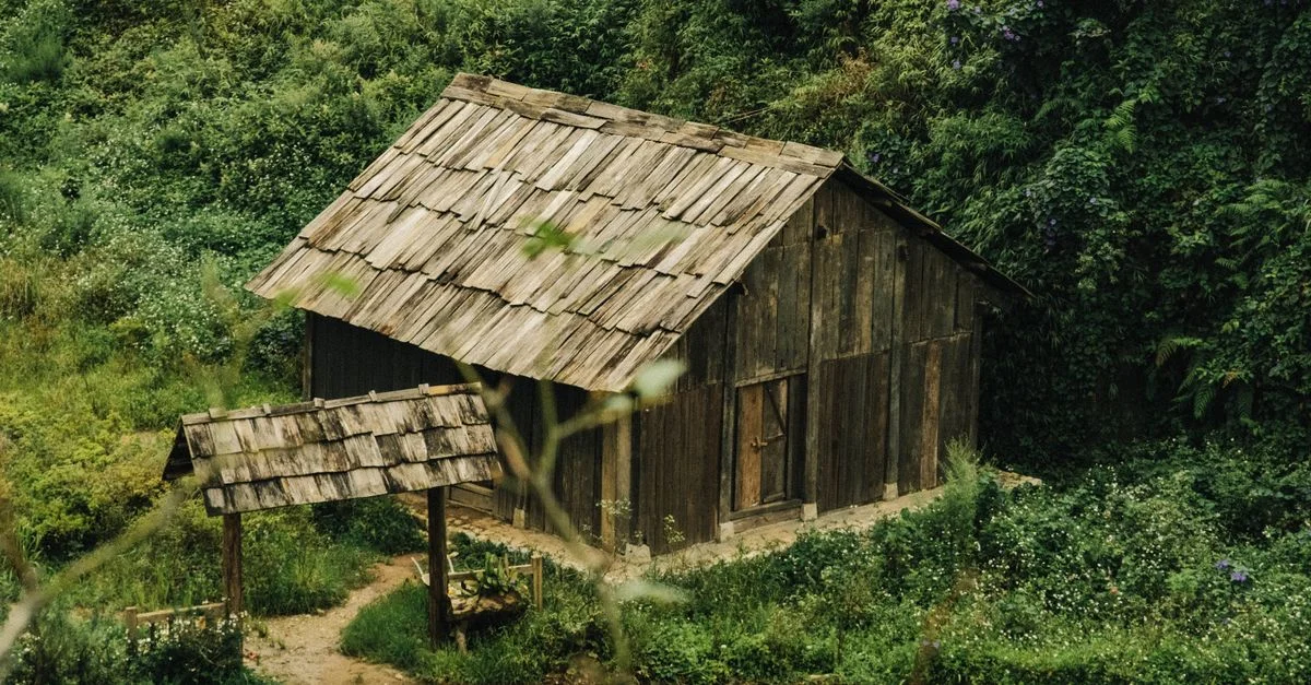 Una pintoresca casa de madera ubicada en la exuberante vegetación de Hanoi, Vietnam, que muestra un encanto rústico.