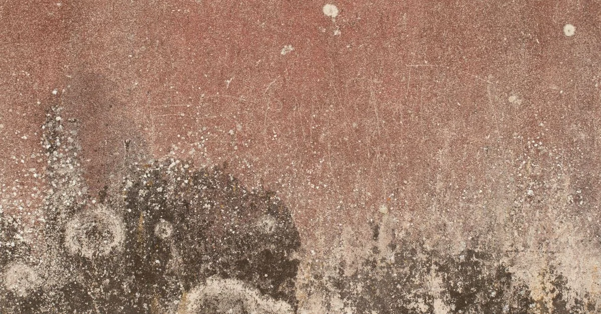 Primer plano de una pared texturizada y envejecida que revela deterioro y apariencia rústica.